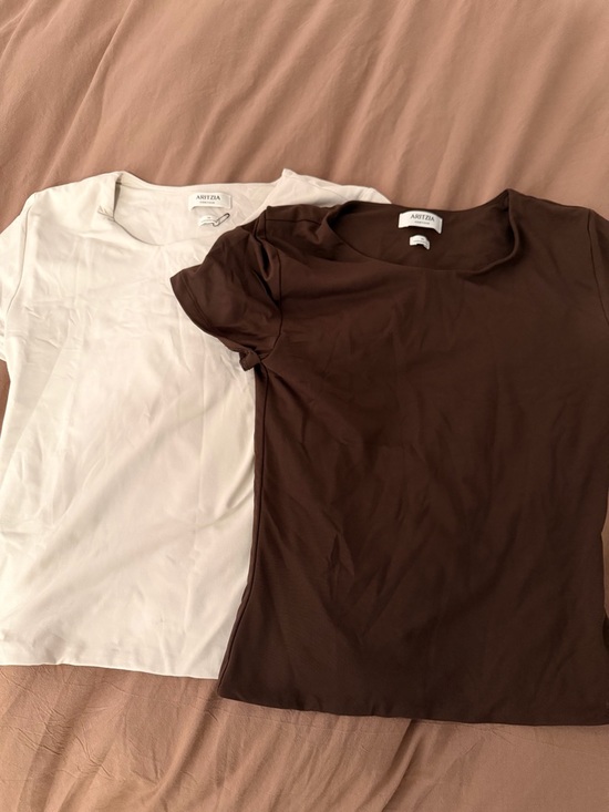Aritzia Tops - Aritzia Short Sleeve Tees - Beige & Dark Brown